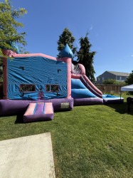 IMG 2472 1761438210 Wet Pink and Blue Combo