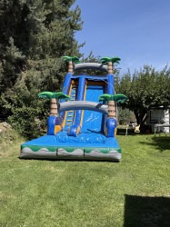 IMG 3201 1761434563 20 Ft Tropical Water Slide