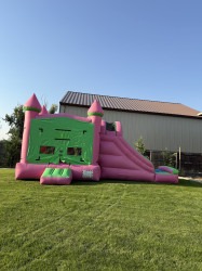 IMG 3334 1761435382 Dry Pink and Green Combo