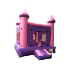 Purple and Pink Bouncer